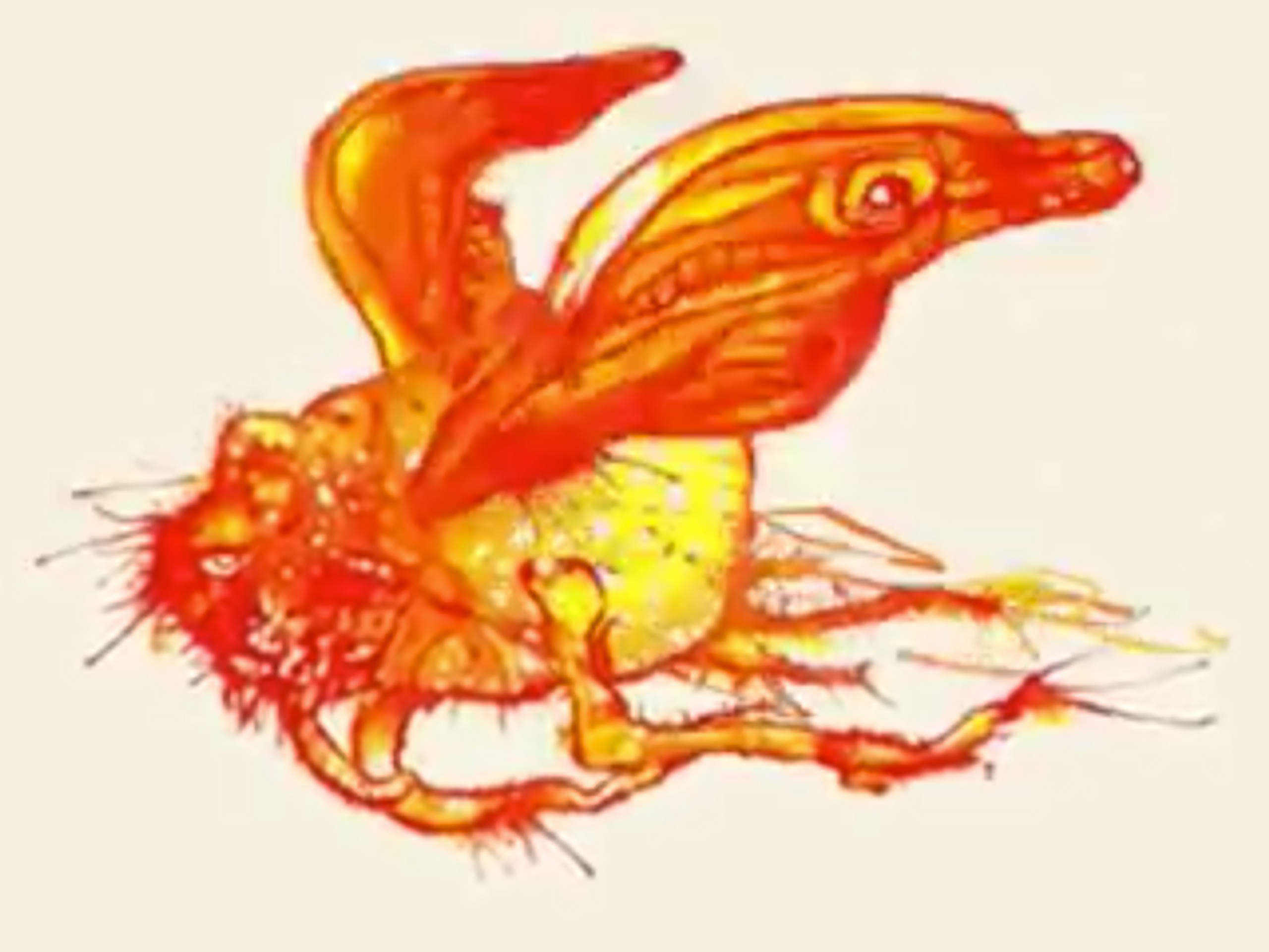 ModestMouseMusic.com